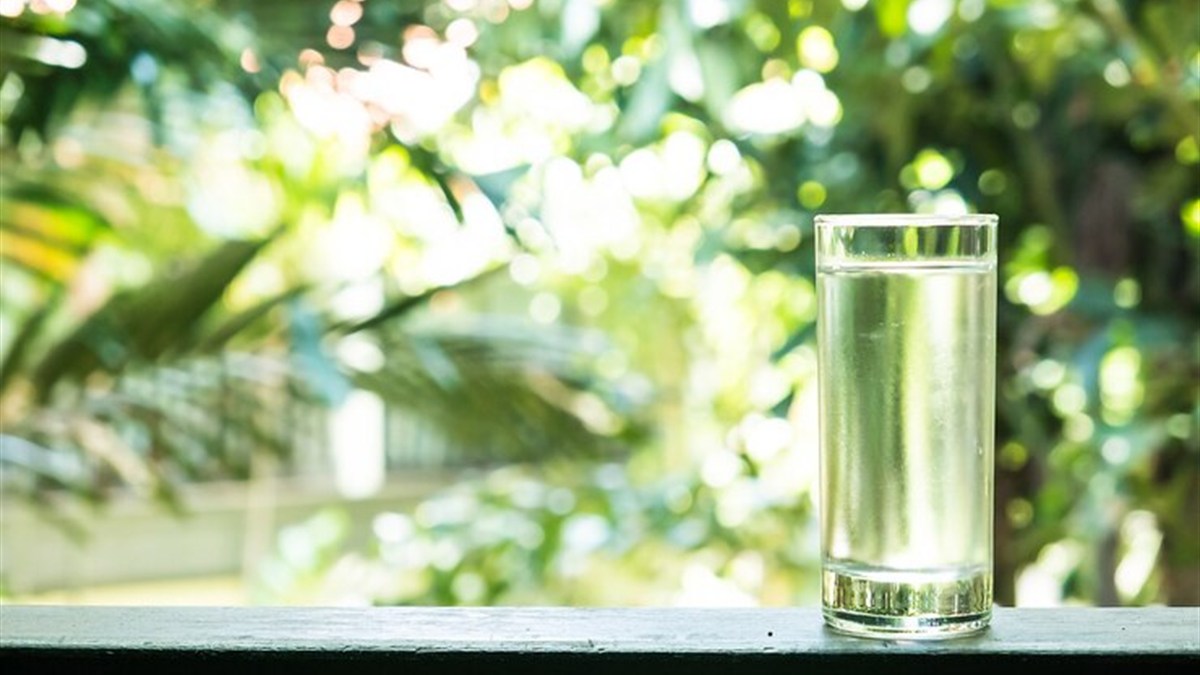 A glass of cool water and a green plant on a wooden table in soft daylight, illustrating DBT distress tolerance grounding skills
